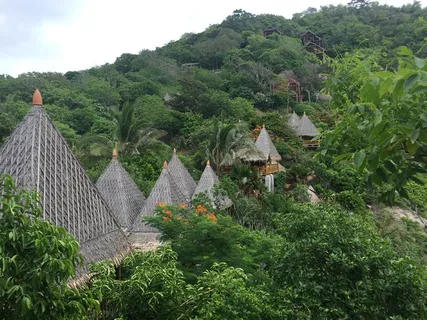 泰国、平房、koh phi phi、丛林、岛屿、异国情调、度假胜地、森林 泰国、平房、koh phi phi、丛林、岛屿、异国情调、度假胜地、森林