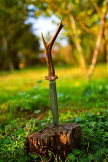 刀，罗马尼亚，武器，军队，自然，鹿，植物，绿色