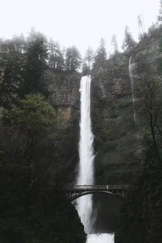 美国，马尔特诺玛瀑布，瀑布，树木，森林，徒步旅行，桥梁，俄勒冈州