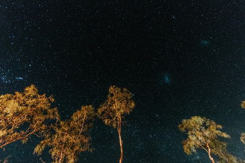 星光夜空的虫眼摄影