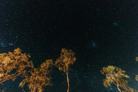 星光夜空的虫眼摄影