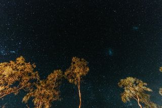 星光夜空的虫眼摄影