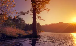 树, 身体, 水, 日落, 自然, 景观, 河流, 太阳