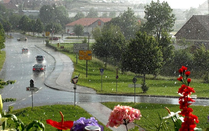 吉恩，夏雨，雨，雨滴，雷雨，自然景观，暴雨，植物