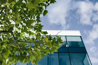 办公楼的窗户和蓝天