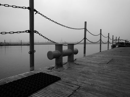 水上，海豚，系船柱，早晨，雾中，水上，码头，木质材料