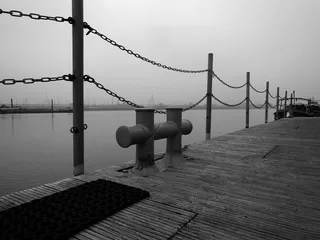 水上，海豚，系船柱，早晨，雾中，水上，码头，木质材料