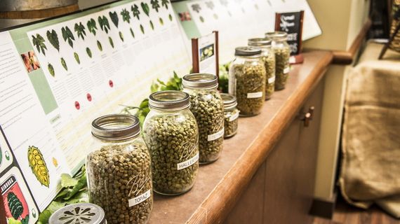 啤酒花，罐装啤酒花，罐装啤酒花，室内，容器，无人，药草，罐装