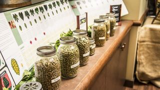 啤酒花，罐装啤酒花，罐装啤酒花，室内，容器，无人，药草，罐装