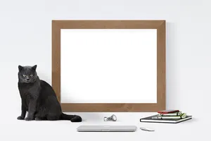 海报、框架、猫、书、手表、一只动物、哺乳动物、动物主题