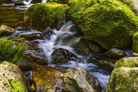 水,河流,自然,风景,石头,水流,河岸,浪漫 水,河流,自然,风景,石头,水流,河岸,浪漫