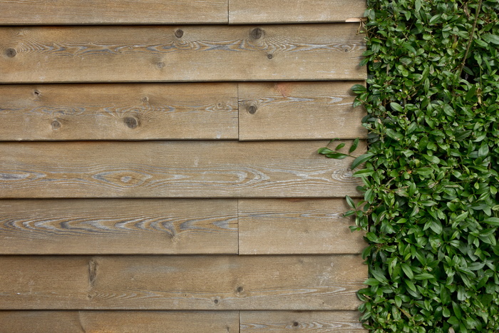 高角度照片，绿色，草，棕色，木质，面板，墙，木质墙