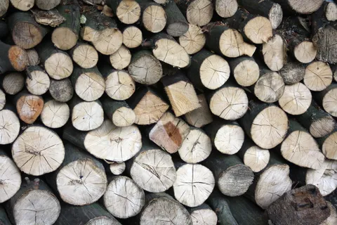 树干、纹理、holzstapel、结构、背景、木墙、林业、堆栈 树干、纹理、holzstapel、结构、背景、木墙、林业、堆栈