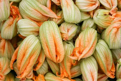 花瓣,西葫芦,花,美食学,西葫芦花瓣,花,厨房,食品和饮料,食品 花瓣,西葫芦,花,美食学,西葫芦花瓣,花,厨房,食品和饮料,食品