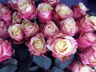 玫瑰，束，花，粉红色，祝贺你，玫瑰束，婚礼，美丽