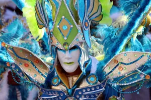 面具，化装舞会，狂欢节，男人，乐趣，狂欢节，男人，假日，狂欢节服装