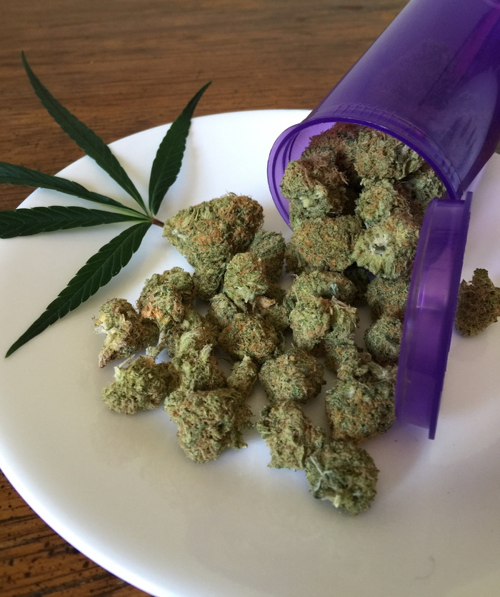 大麻芽, 大麻, 杂草, 药物, 医药, 植物