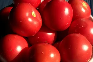 红色番茄的全画幅照片