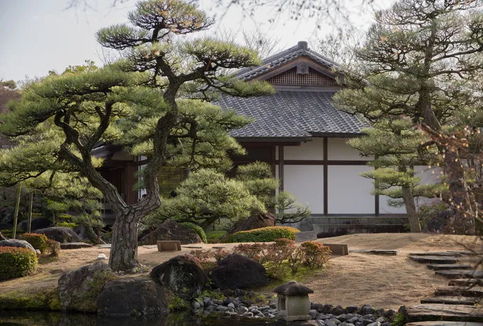 日本、花园、传统、亭子、禅宗、植物、树木、建筑
