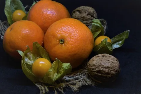 柑橘、坚果、核桃、酸浆圣诞、水果、美味、装饰、食用 柑橘、坚果、核桃、酸浆圣诞、水果、美味、装饰、食用