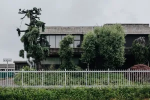 市政绿化