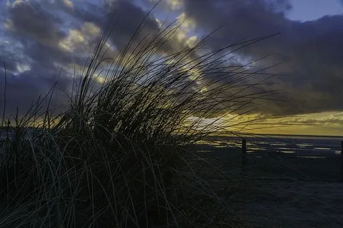 日落，瓦登海，诺德伊奇，太阳，云朵，夜空，阿本斯汀芒，余辉
