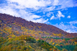 日本秋叶秋山镇秋叶秋山镇山谷