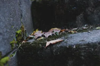 美国、切斯特顿、砖块、楼梯、树林、迷路、绿色、棕色