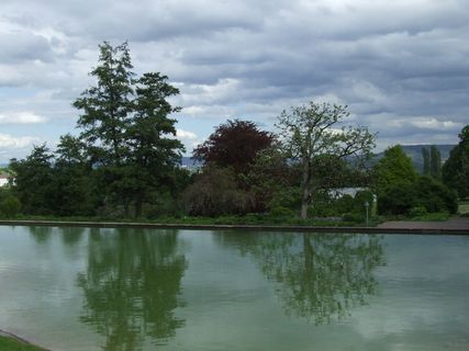 parklandschaft，mood，lake，killesberg，天气mood，tree，cloud-sky，plant