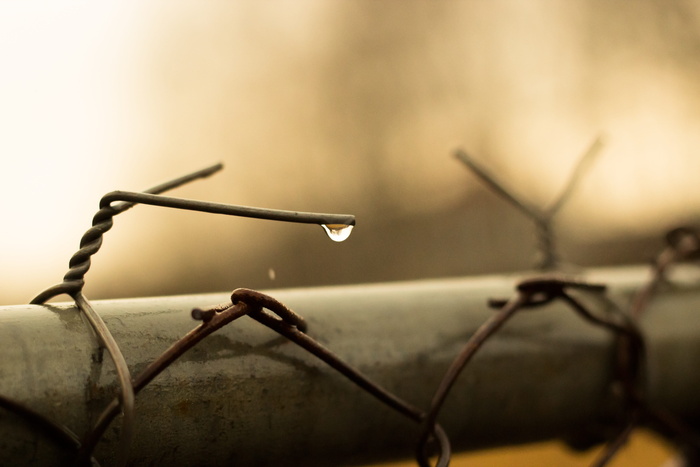 水滴，栅栏，水滴，潮湿，雨，自然，电线，水