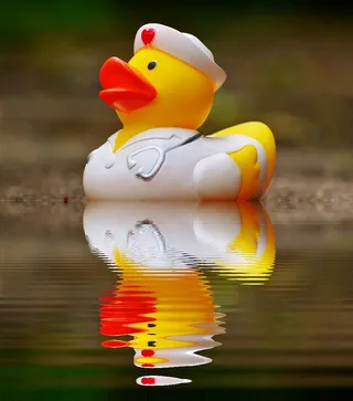 黄色，橡皮鸭，身体，水，浴鸭，镜子，护士，安静