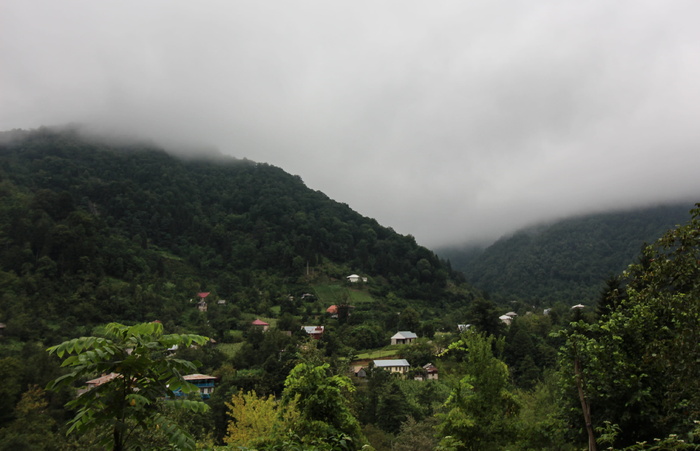 乔治亚州，山，村庄，森林，植物，树木，雾，风景-自然