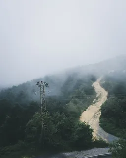 绿树灰塔 绿树灰塔