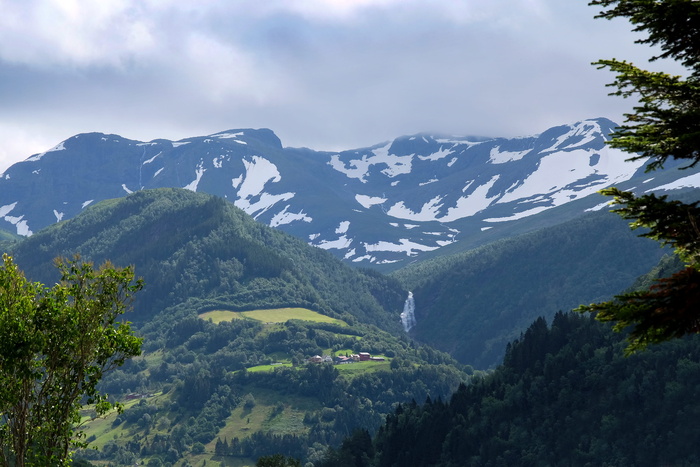 挪威，维克，雪，小溪，树木，绿色，峡湾，风景