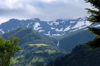挪威，维克，雪，小溪，树木，绿色，峡湾，风景
