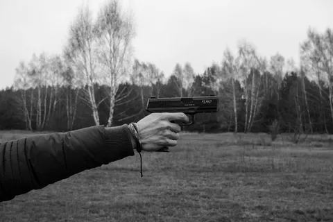 武器，手枪，射击，目标，暴力，暴力，犯罪，犯罪