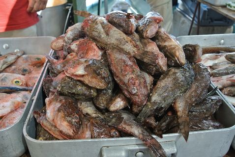 鱼、岩石、Bouillabaise、节日、海洋、膳食、传统、食物