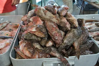 鱼、岩石、Bouillabaise、节日、海洋、膳食、传统、食物