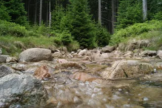 小溪，森林，山脉，自然，瀑布，小溪，风景，波兰