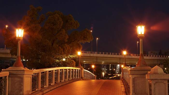 日本，大阪，大桥，夜景，灯光，景观，自然，夜间