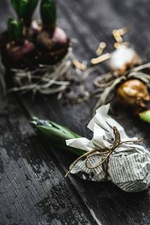 在一个小罐子里做一个小观赏幼苗的女人