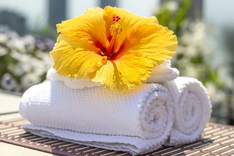 黄色,芙蓉花,白色,毛巾,毛巾,芙蓉,清洁,护理 黄色,芙蓉花,白色,毛巾,毛巾,芙蓉,清洁,护理