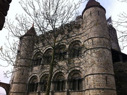 城堡、根特、根特、建筑结构、建筑外观、低角度视图、树木