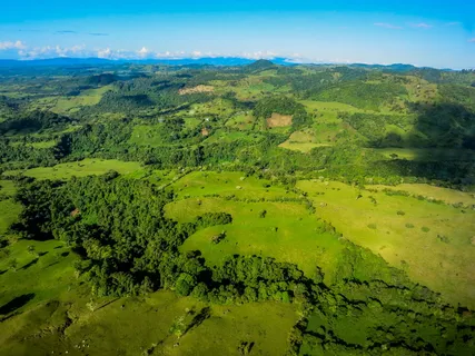 *、博克特、奇里基省、国家、山脉、丘陵、农田、植被 *、博克特、奇里基省、国家、山脉、丘陵、农田、植被