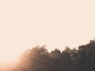 日落，空中，无人机，双重曝光，对比度，太阳，白色，树木