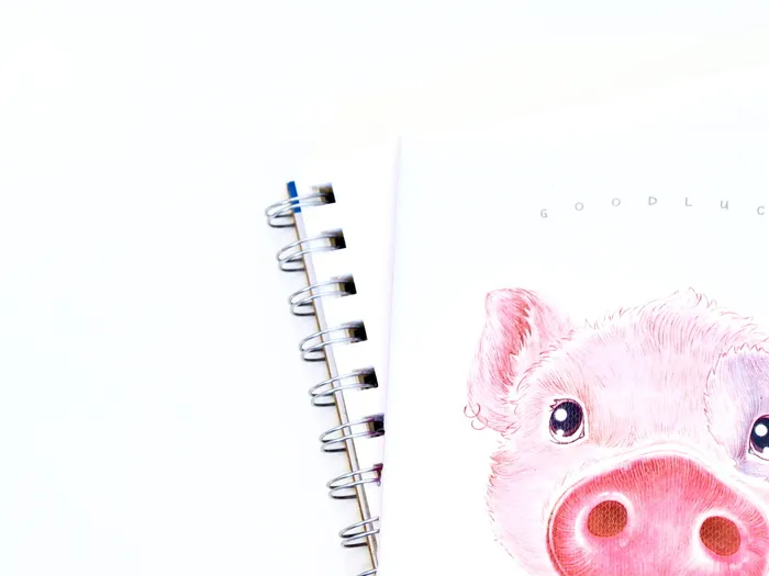 白色螺旋形笔记本