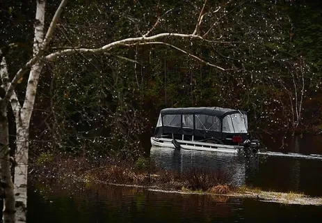 浮桥,步行,自然,湖泊,树木,水,浮桥步行,景观 浮桥,步行,自然,湖泊,树木,水,浮桥步行,景观