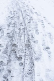 冬季、背景、寒冷、雪、霜、雪迹、痕迹、天气