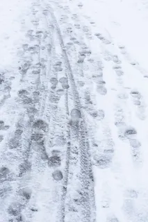 冬季、背景、寒冷、雪、霜、雪迹、痕迹、天气