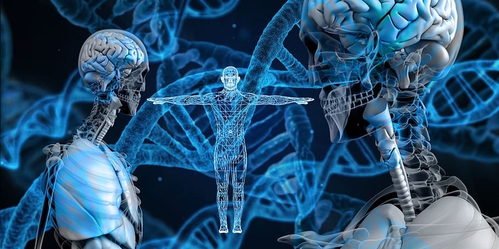 dna，遗传物质，螺旋，蛋白质，生物学，化学，医学，研究